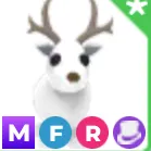 mfr arctic reindeer