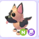 neon German shepherd