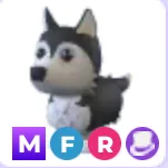 mfr husky