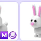 mega bunny/neon bunny
