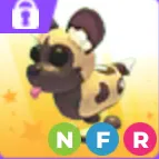 nfr African wild dog
