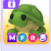 mfr turtle