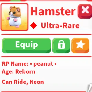 NR hamster