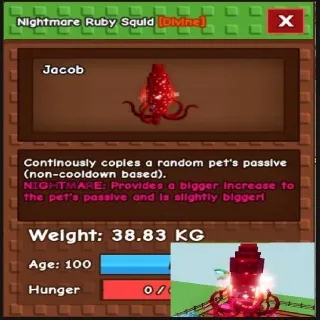 38.83KG Ruby Squid Nightmare