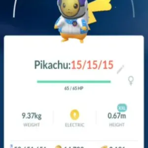 PIKA QUEST HUNT FOR 1 DAY