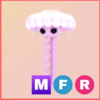 mfr jellyfish