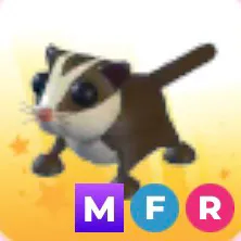 mfr sugar glider