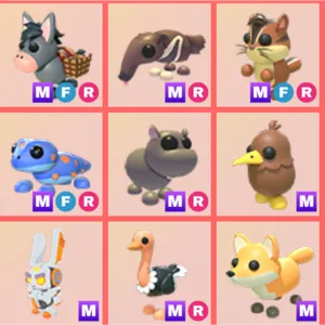 Adoptme mega rare bundle