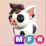 mfr mini pig