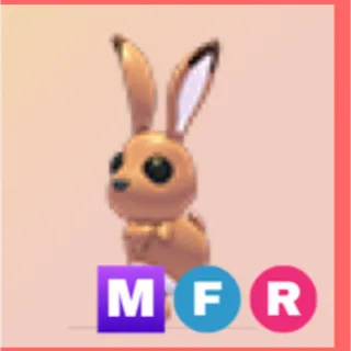 mfr hare