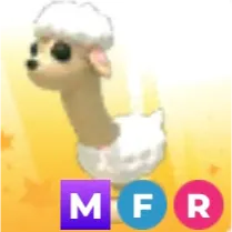 mfr sheeep