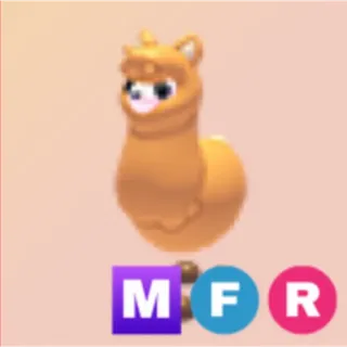 mfr alpaca