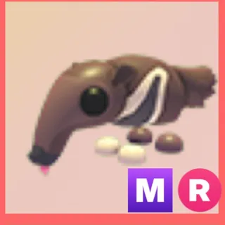 Mr giant anteater