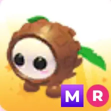 Mr coconut friend