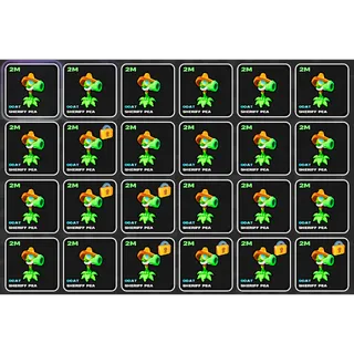24x SHERIFF PEA 