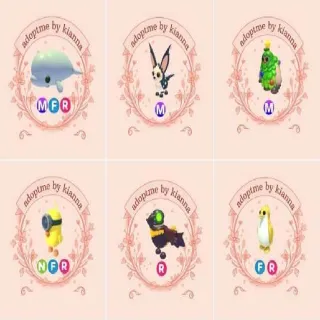 BUNDLE 1