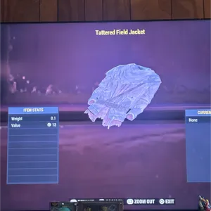 Tattered Field Jacket