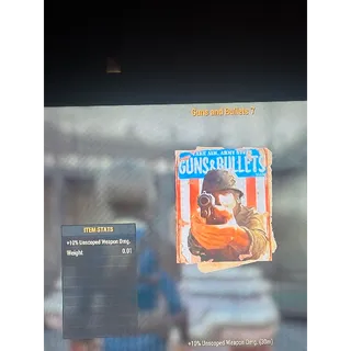 Guns and Bullets 7