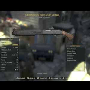 Invalid Pump Shorgun