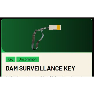 Dam Surveillance Key