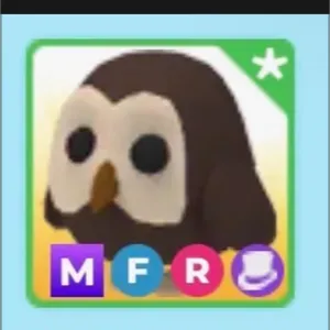 MFR Owl
