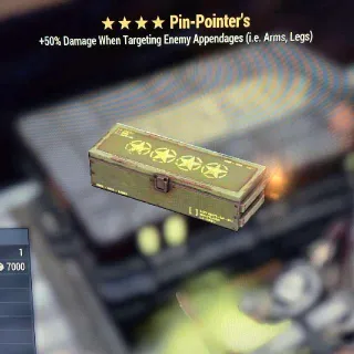 Pinpointer's Mod