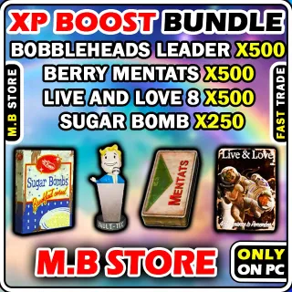 XP BOOST