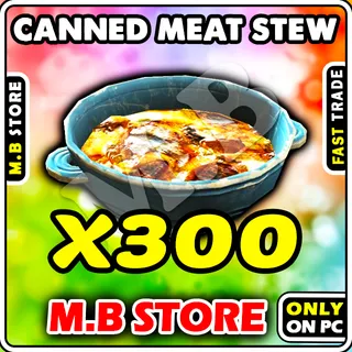 x300 CANNED MEAT STEW
