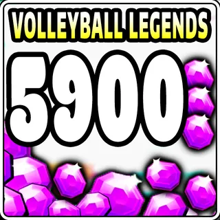 Volleyball Legends