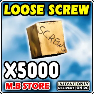 LOOSE SCREW