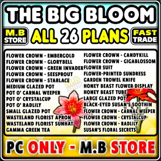 The Big Bloom plans