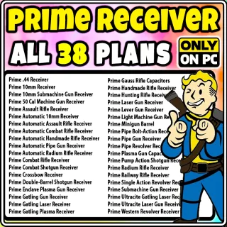 FALLOUT 76 PRIME RECEIVERS