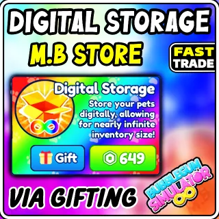 BGSI DIGITAL STORAGE