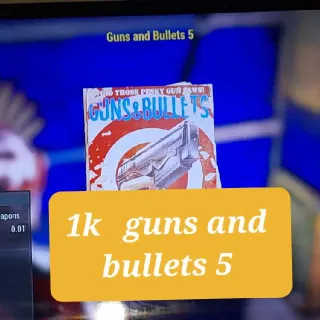 1k    Guns And Bullets 5  Mags