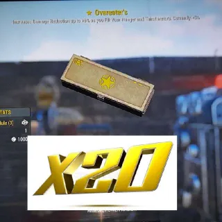 X 20  (  OVEREATERS   MOD
