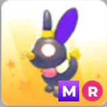 rice cake rabbit !