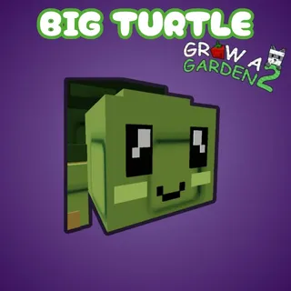 Big Turtle