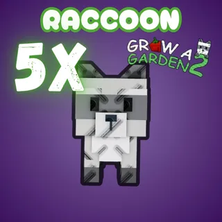5x Raccoon 