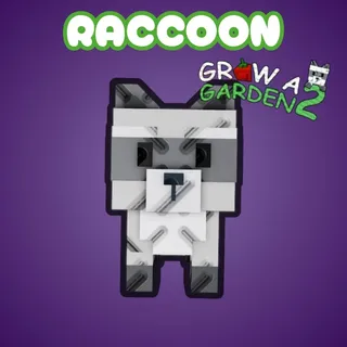 Raccoon 