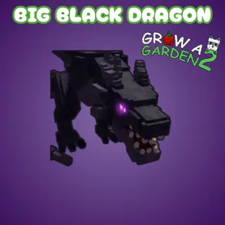Big Black Dragon