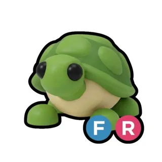 FR Turtle