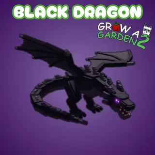 Black Dragon