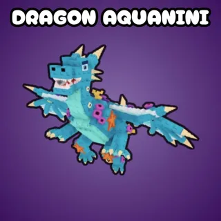 Dragon Aquanini