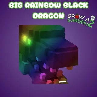 Big Rainbow Black Dragon