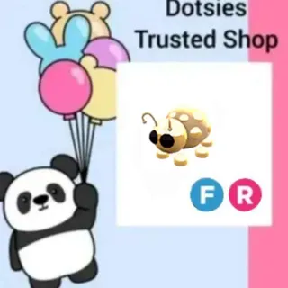 FR Golden Ladybug