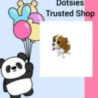 Brown Springer Spaniel