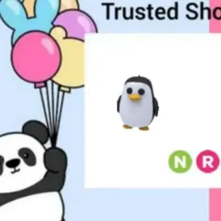 Pet | NR Penguin