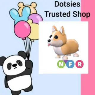 Pet | NFR Corgi