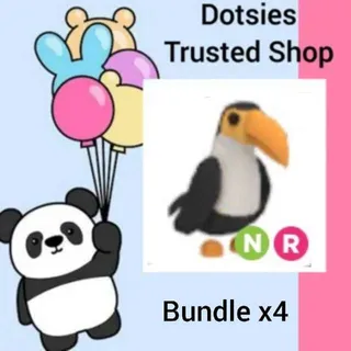 Bundle | X4 NR Toucan