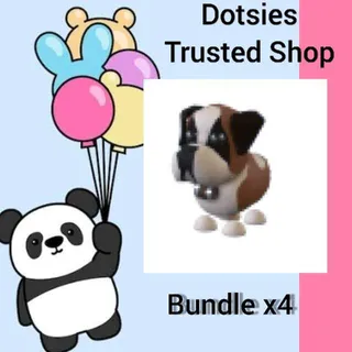 Bundle | X4 St Bernard
